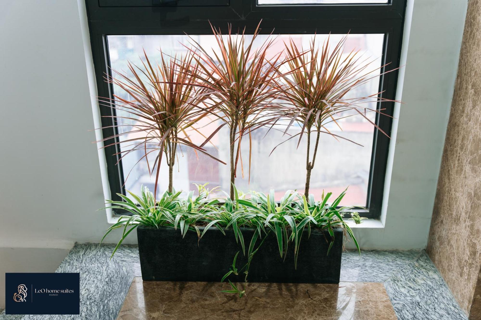 Home Suites -Natural Light -Projector -Spacious - 2Br Incenter Hanoj Exteriér fotografie
